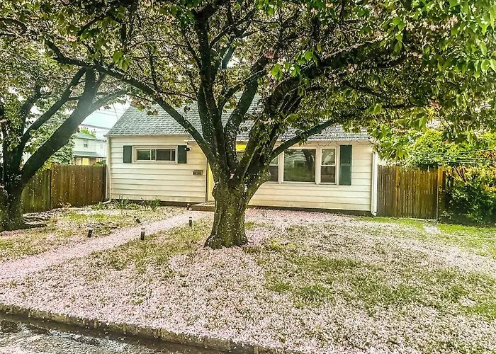 Entire 3Bdr Home W/Parking, Backyard, Firepit, Bbq